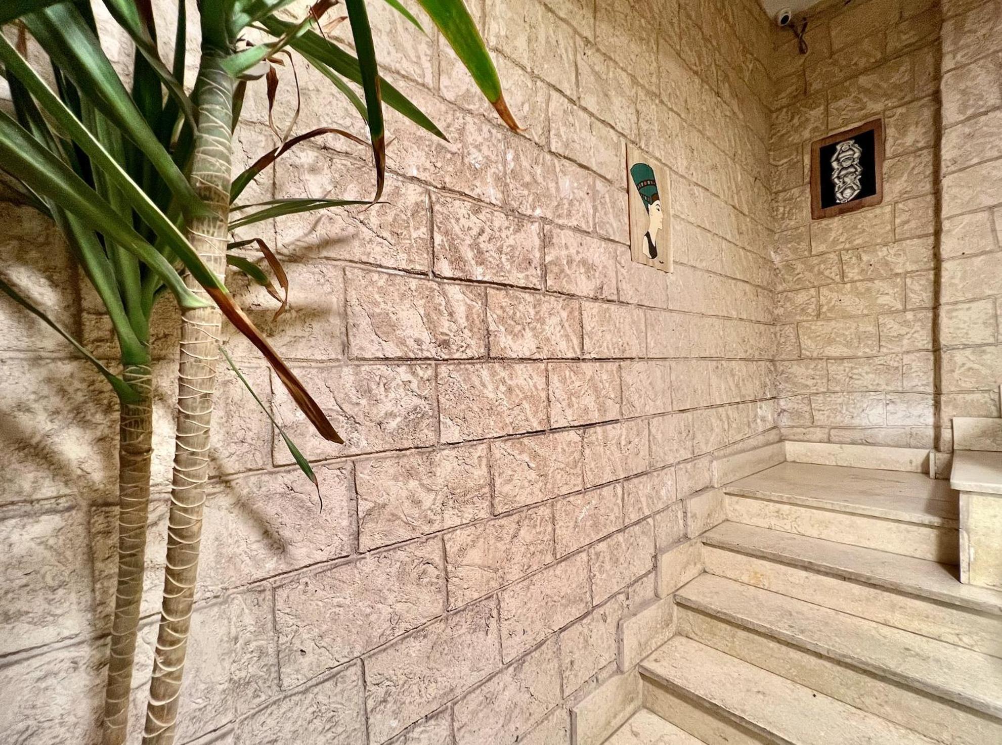 Bed & Breakfast Desert Star Pyramids View Cairo